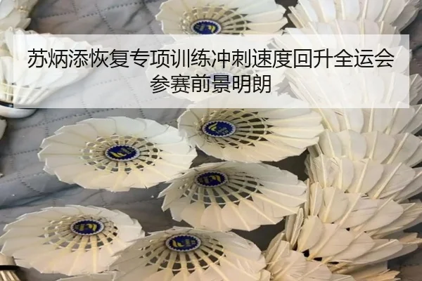 苏炳添恢复专项训练冲刺速度回升全运会参赛前景明朗